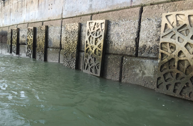 Other ecologically engineered fixtures of different shapes and complexities are installed on an ‘ecological seawall’