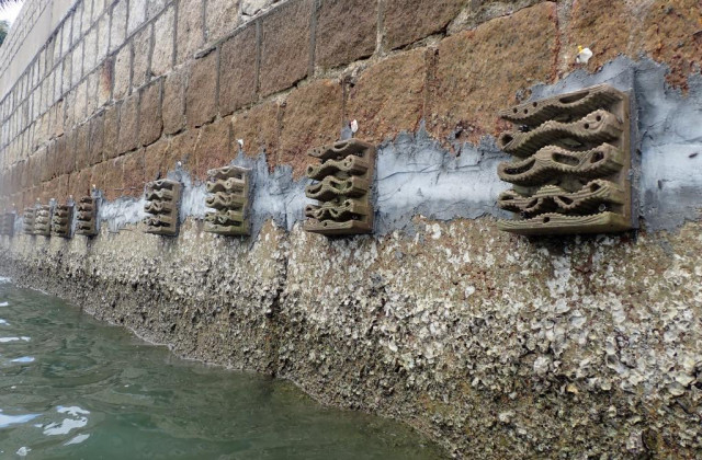Man-made ecologically engineered fixtures can be retrofitted on existing seawalls for marine life to inhabit the gaps and trenches. The eco-tiles are made of waste materials including recycled ash from the T-Park incinerator in Tuen Mun and from dredged marine sediment. 