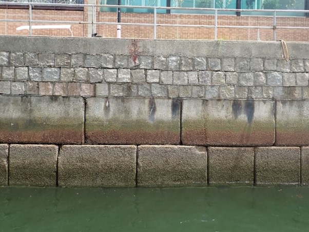 Vertical seawalls: Built on piers and shipping lanes to facilitate the berthing of boats