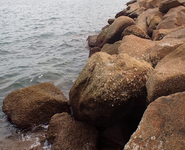 斜式防波堤：主要以大石或花岗岩石砌成，建于海域较宽阔及浪大的海边